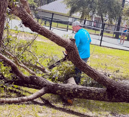 Crew clearing fallen tree limbs from yard