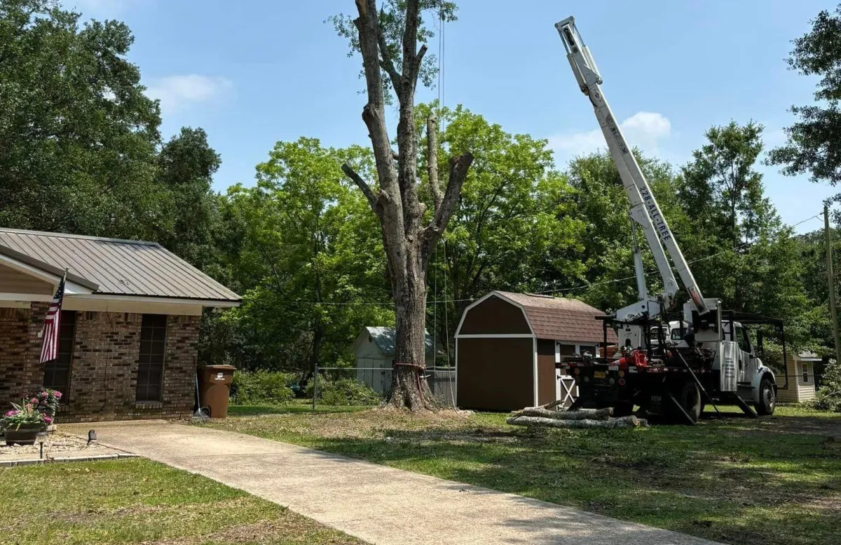 Large tree removal with crane truck in residential yard