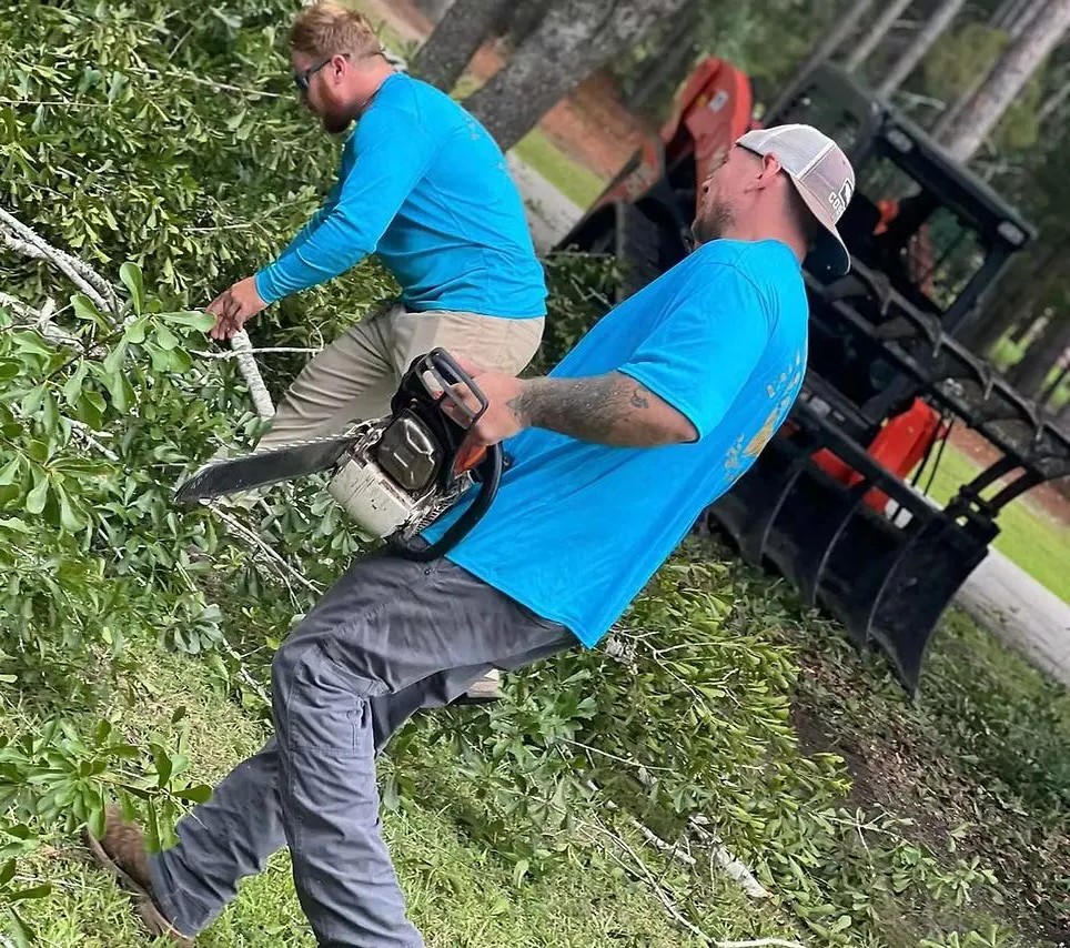 Taylor Tree Co. Crew